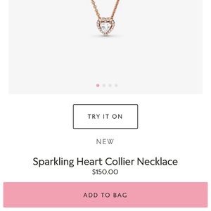 Pandora necklace never worn.